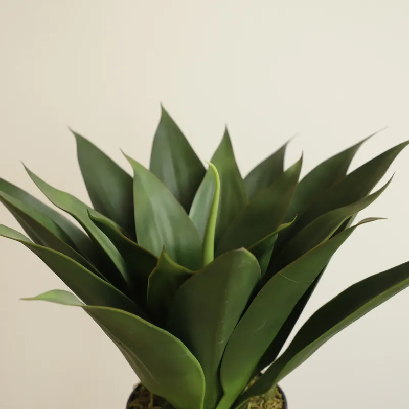 Artificial Potted Aloe Vera Pl - Aloe Vera Pot 评论和价格