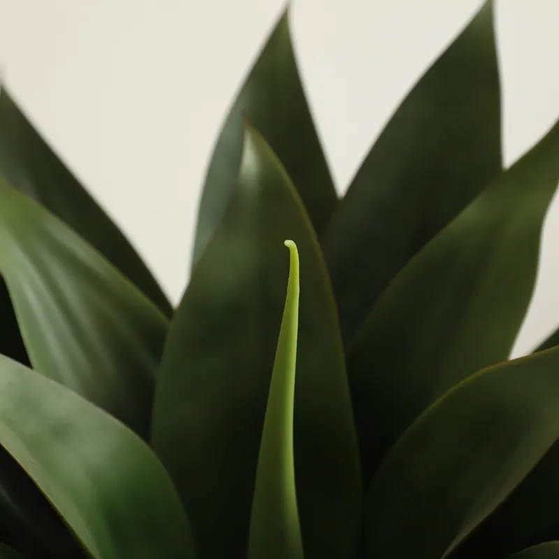Artificial Potted Aloe Vera Pl - Aloe Vera Pot 评论和价格